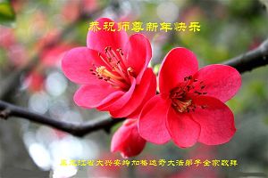 加格达奇大法弟子携家人恭祝大法师父过年好!
