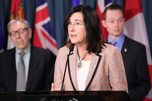 图3:新民主党国会议员、国会国际人权委员会副主席Cheryl Hardcastle