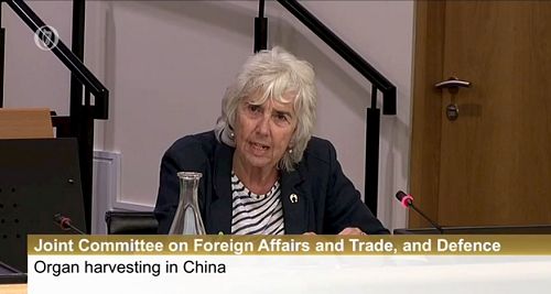 '图5:外交事务委员会副主席莫林·欧苏利文(Maureen O’Sullivan)议员'