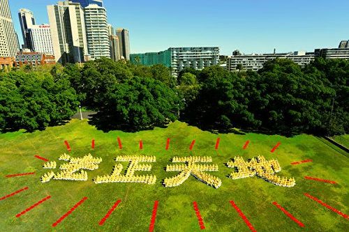 '图1:澳洲法轮功学员在悉尼皇家植物园大草坪上排字“法正天地”,展示修炼的坚定信念。'