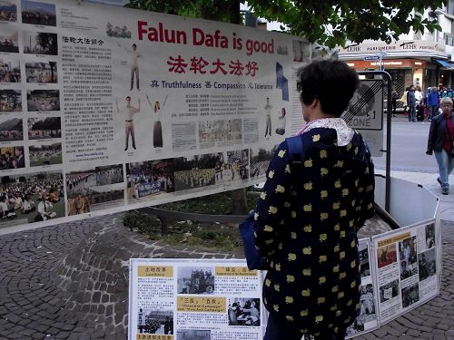 '图1:中国人在展板前静静地看真相资料'