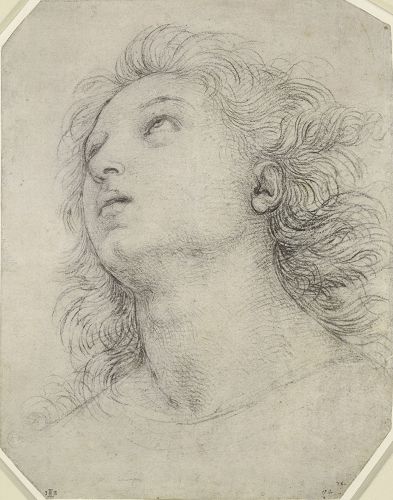 这幅是拉斐尔的素描《一位使徒的头像》(Head of an Apostle),约作于1503年。这幅充满了圆、弧状线条的素描虽然着笔不多,但恰到好处地表达出人像圆而非方形的结构,全画完全没有直的轮廓线。(来源:https://cdn.nybooks.com)