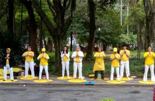 '图5:法轮功学员在光之公园(Parque da Luz)集体炼功'