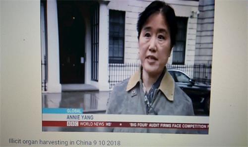 '图5:在BBC电视节目中,法轮功学员杨女士站在伦敦中使馆前向记者揭露中共迫害'