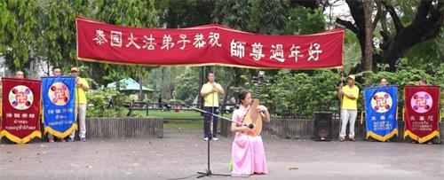 '图5:琵琶独奏《辞旧迎新祝愿歌》'