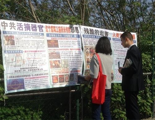 '图2:米兰中领馆前,路人阅读法轮功真相展板'
