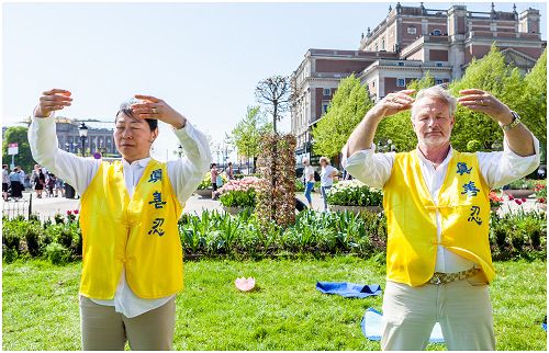 庆祝法轮大法日,法轮功学员在首都斯德哥尔摩樱花盛开的皇家花园里演示法轮功的五套功法,彼得和他的妻子布蕾特在炼功。