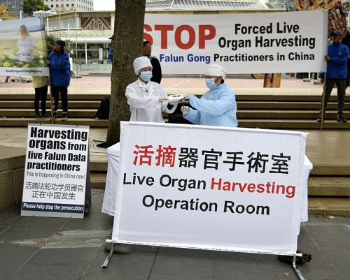 奥克兰法轮功学员举办酷刑展,演示中共活摘以及贩卖人体器官