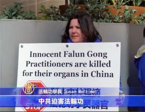 '图3:手举反活摘展板的居住在珀斯以南四百五十公里奥尔巴尼(Albany)的法轮功学员莫蒂默(Susan Mortimer)女士为了参加当天的活动,她提前一天驱车五小时赶到珀斯。'