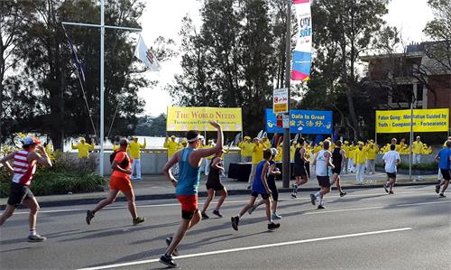 '图1~2:“从城市到海滩”(City to Surf)慈善马拉松长跑途中,如潮水般的长跑者汹涌而至与祥和的法轮功学员的晨炼在动静中相映成辉'