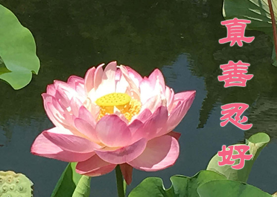 二十多年精神失常的大姨恢复记忆