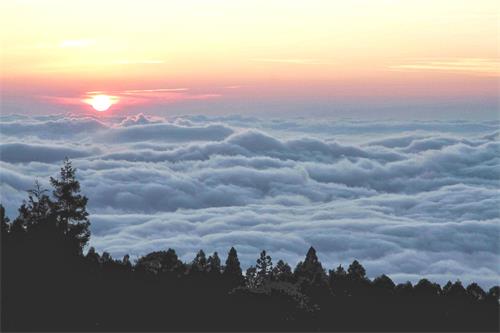 图:阿里山云海