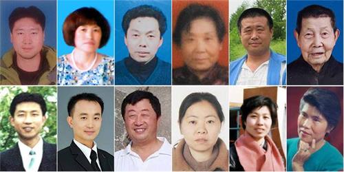 图:被迫害致死的部分法轮功学员,上排(从左至右):王健、杨桂芝、邵明罡、张伟、王新春、王洪章,下排(从左至右):张洪伟、石强生、李成山、孔红云、孙丽彬、谈银珍。