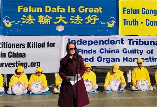 '图9:澳洲华裔律师和大律师王莉(Leigh Wang)在集会上发言'
