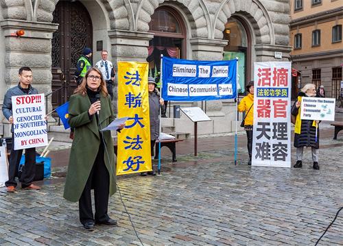 '图5:国会议员珍妮·阿尔姆·爱立信(Janine Alm Ericsson)女士在集会上发言。'