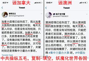 图1:2020年3月,海外自媒体搜索到大量雷同的谣言,被揭露为中共五毛的统一行动,祸乱各国(推特截图1)