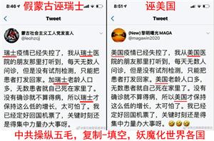 图6:海外自媒体上,集中搜索到大量雷同的谣言,被揭露为中共五毛的统一行动,祸乱各国(推特截图3)
