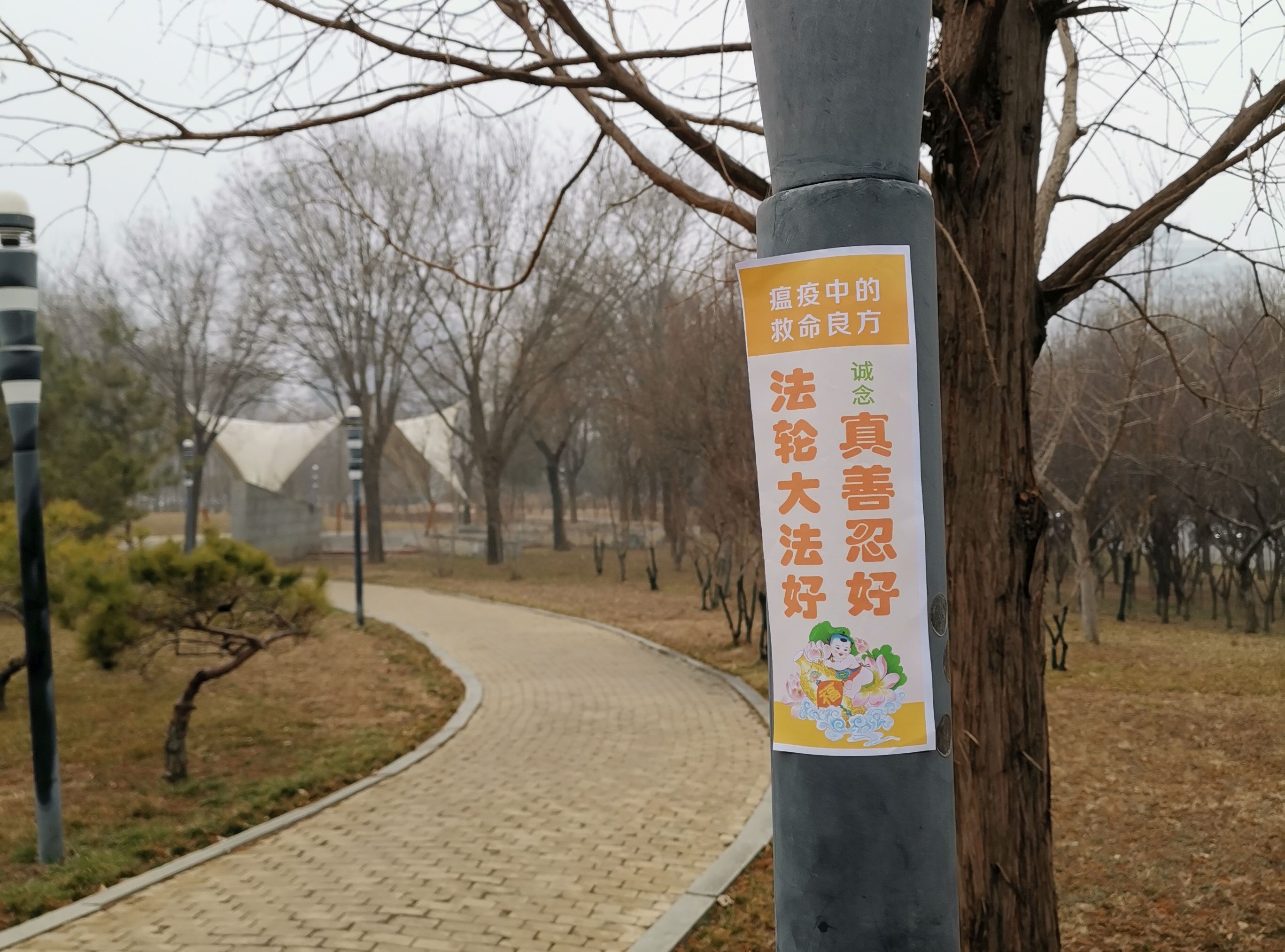 中国大陆法轮功学员用真相贴传播避疫良方