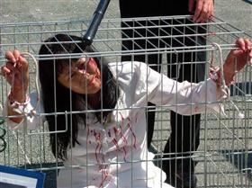 '中共酷刑示意图:蹲“猪笼”'