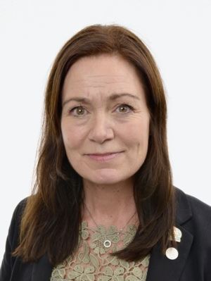 '图1:联合声明发起人、瑞典国会议员安·索菲·阿尔梅 (Ann-Sofie Alm)'