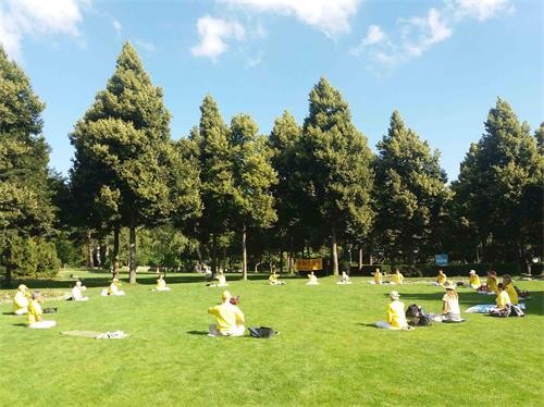 '图3:法轮功学员在伯尔尼景点玫瑰园(Rogsengarten)演示功法'