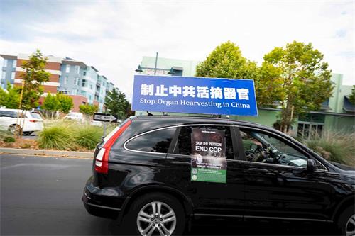 '图12:维克多指着“制止中共活摘器官”的标语牌说,“没有人在谈论中共活摘器官罪行'