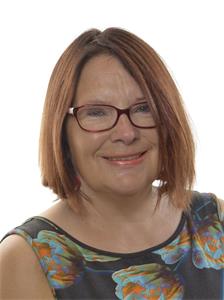 '图3:瑞典国会议员洛塔·约翰逊·福纳尔维(Lotta Johnsson Fornarve)女士'