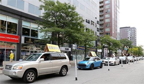 '图8:由10辆汽车组成的真相车队,在圣凯瑟琳大街和梅桑纳夫大街上行驶,经过中领馆前,向蒙特利尔民众传递真相信息。'