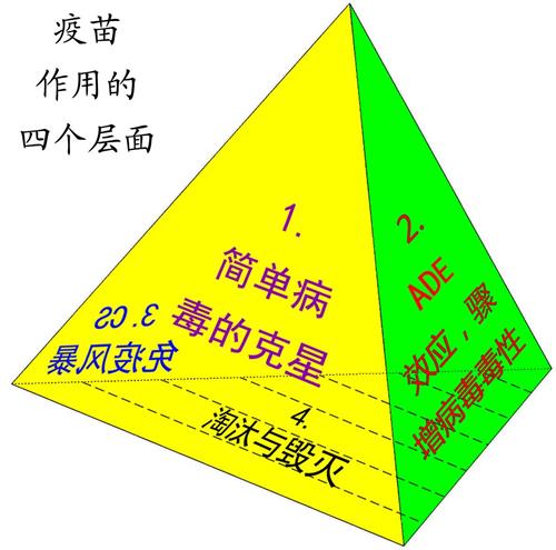 '图1:疫苗的作用有4个面,犹如一个正四面体(作者提供)。'
