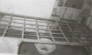 '酷刑:死人床'
