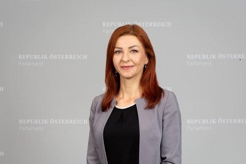 '图6:奥地利绿党国会议员艾娃·恩斯特-杰季奇(Dr. Ewa Ernst-Dziedzic)'