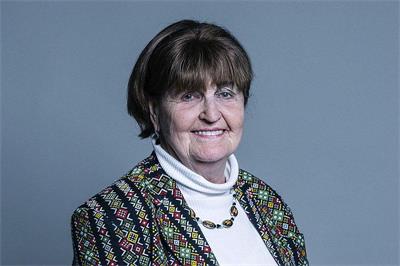 '图10:上议院议员,考克斯男爵夫人(THE BARONESS COX)'