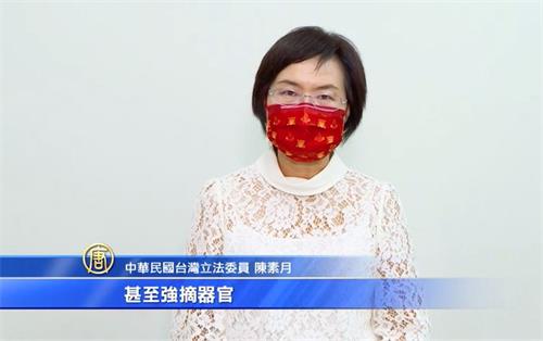 '图6:立法委员陈素月'