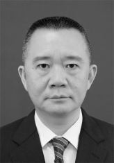 图2:白炤