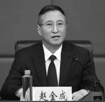 赵金成