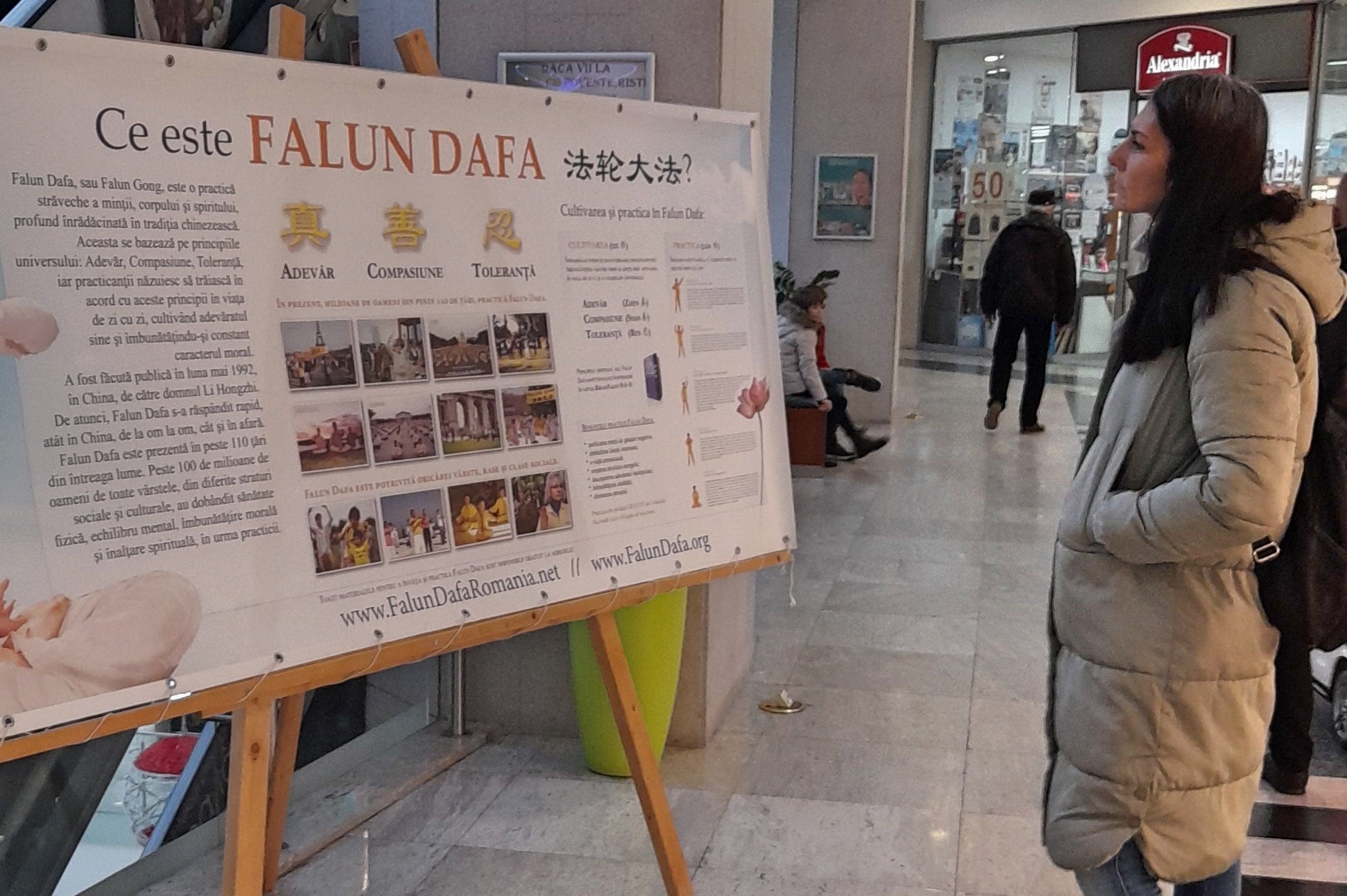 图6:这位年轻女士正在认真阅读真相展板。