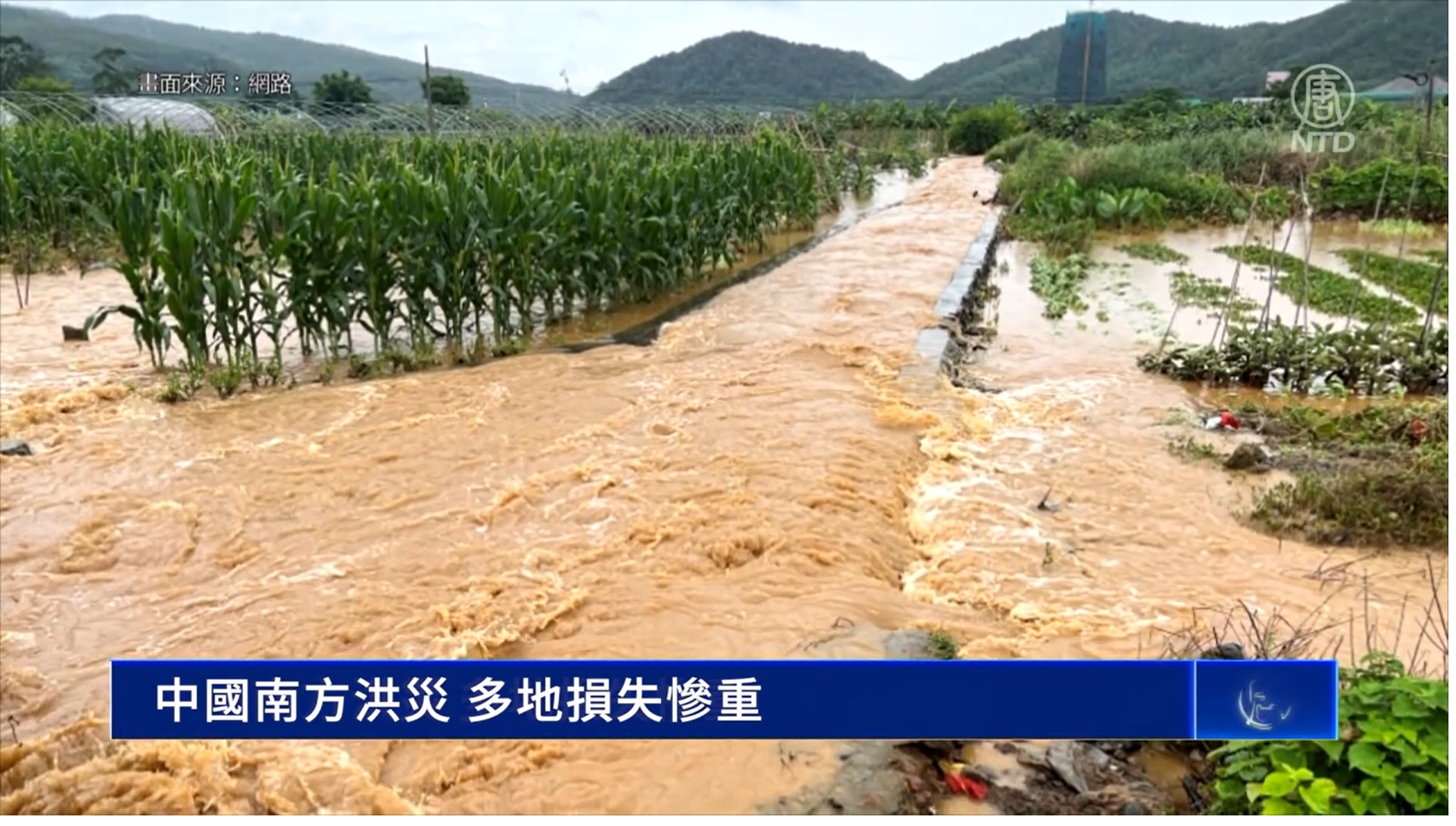 图:中国南方洪灾,多地损失惨重。(新唐人电视截图)