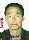 图21:朱金瑞