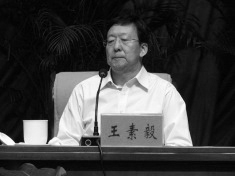 图2:王素毅