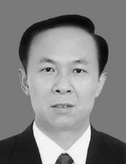 图8:陈勇