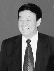 图11:王辅刚