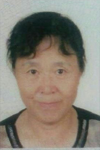 王书美