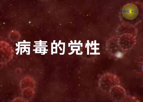 视频:病毒的党性