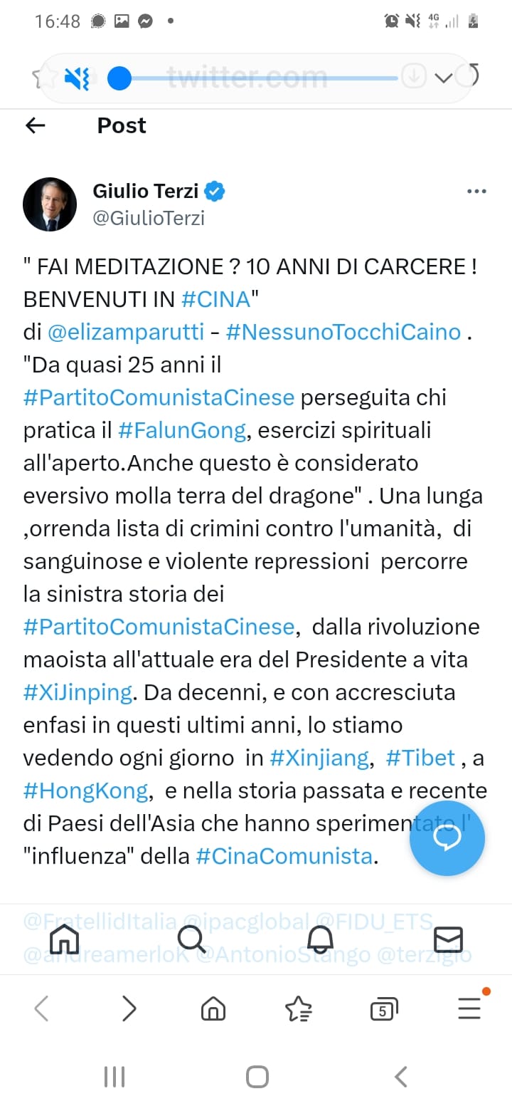 图3:意大利共和国参议院欧洲联盟政策委员会主席朱利奥·泰尔齐(Giulio Terzi)的推文的截图。