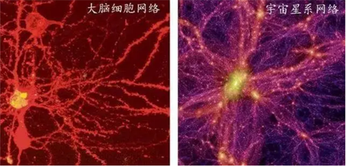 '图四:大脑细胞网络与宇宙星系网络'
