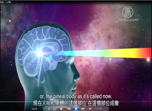 '图3:天目在松果体这个部位成像示意图。'