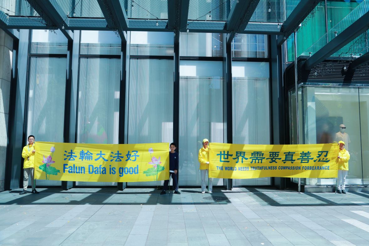 '图6:奥克兰市中心伊丽莎白广场的横幅。'