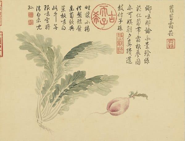 '立冬后也宜多吃红、白、青等不同颜色的萝卜。(清 金廷标《仿陈书画・册・萝卜霜松》局部,台北故宫博物院)'