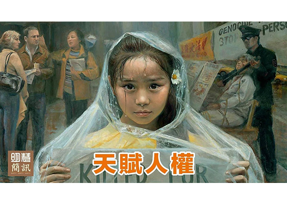 视频:人人有人权,否则无人有人权