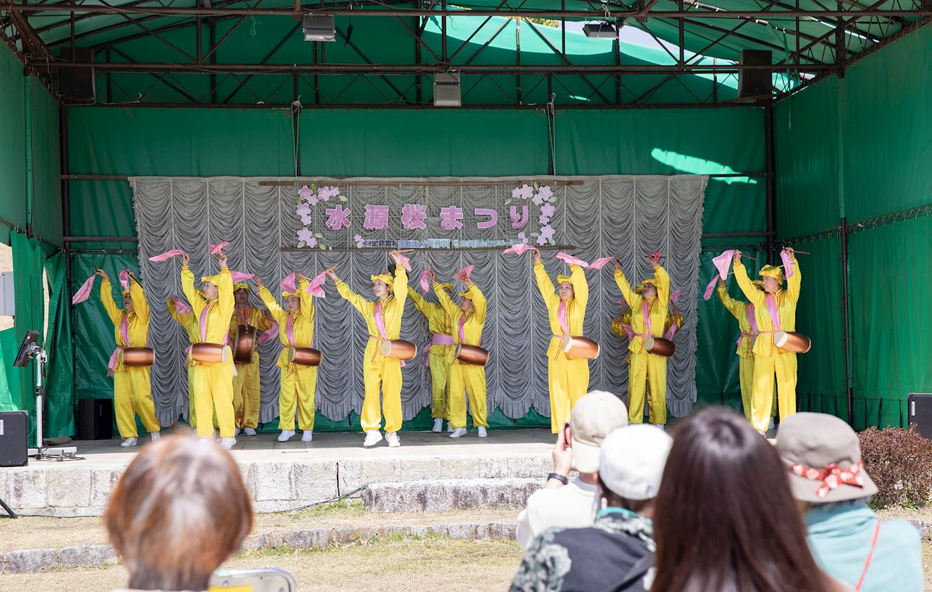 '图8~9:在丰田市水源公园樱花节的舞台上法轮功学员们在进行打腰鼓表演时的情景。'